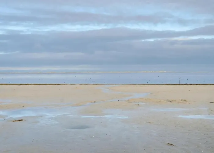 Kira Daire Neßmersiel